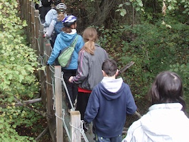group of people walking on narrow wooden bridge.JPG